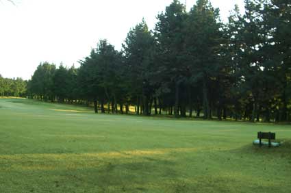 39回選手権大会
